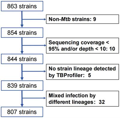 Identification of positively selected genes in Mycobacterium tuberculosis from southern Xinjiang Uygur autonomous region of China